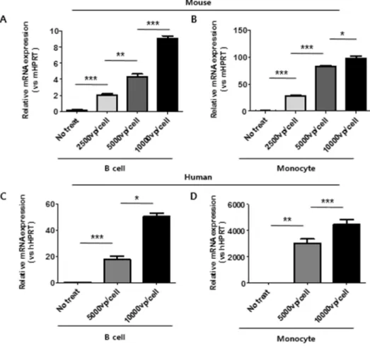 Figure  2.  제작된 adenovirus에 감염된 Human과 mouse의 B  cell 