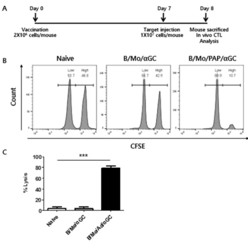 Figure 4. B cell과 monocyte를 기반으로 만들어진 백신에 의해 일