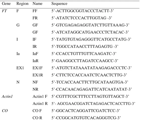 Mutations in SNL1, SNL2, SNL3, and SNL4 Cause Delayed Seed