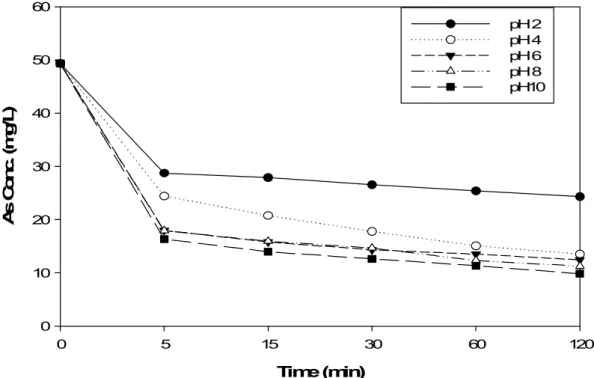 Fig. 6. Effect of solution pH on As(Ⅴ) removal by the ion exchange fiber(SA). 