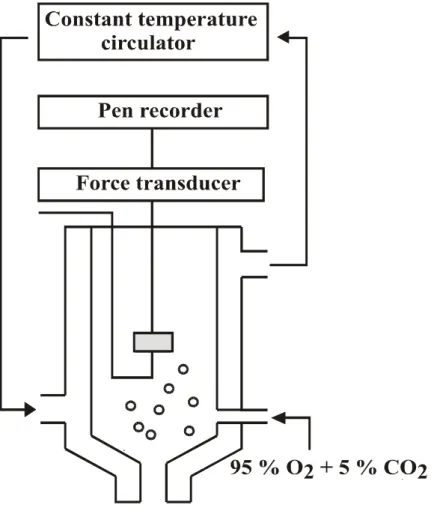 Fig. 1. A schematic representation of the recording system for isometric contraction with 15 mL tissue bath.
