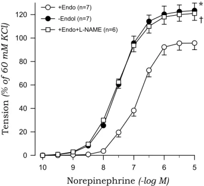 Fig. 3. Concentration-response curves to norepinephrine in aortic rings with (+) and without (-) endothelium (Endo) from sham rats