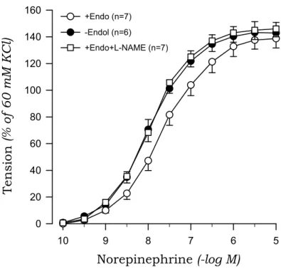 Fig. 4. Concentration-response curves to norepinephrine in aortic rings with (+) and without (-) endothelium (Endo) from 2K1C rats