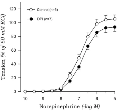 Fig. 7. Effects of diphenyleneiodonium (DPI) on concentration-response curves to norepinephrine in aortic rings with endothelium from sham rats.