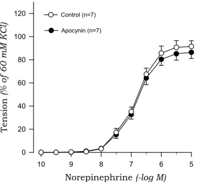 Fig. 9. Effects of apocynin on concentration-response curves to norepinephrine in aortic rings with endothelium from sham rats.