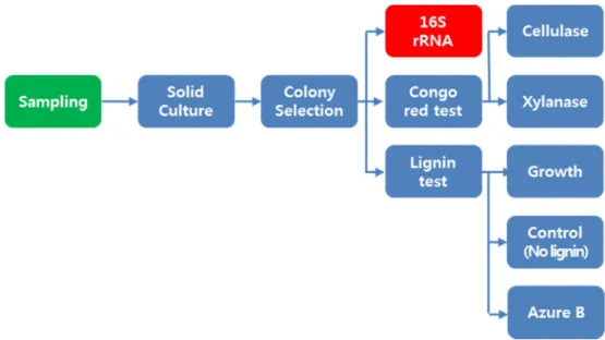 Figure 3.3.1 Experimental  flowchart  of  a  process  for  isolating,  screening  and  estimating cellulolytic, xylanolytic and lignolytic activities on agar plates.