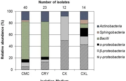 Figure  4.4.1 Relative  abundance  of  bacterial  isolates  by  the  combination  of  lignocellulose  components  (total  concentration  of  5  g/L)  in  the  isolation  media