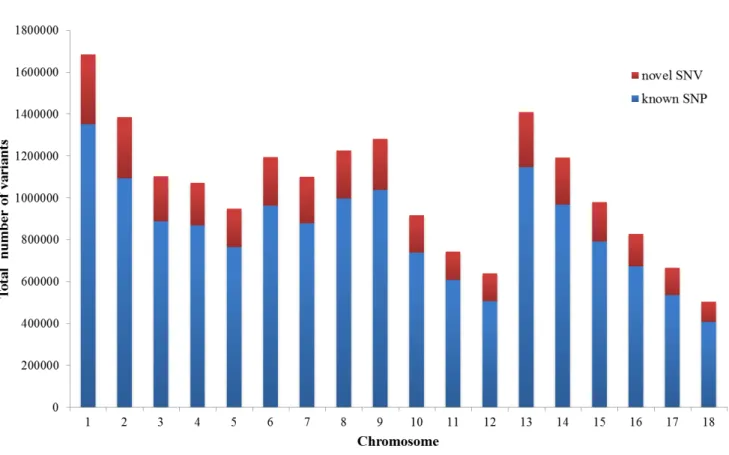 Figure 2. 1 The distributions of novel SNV and known SNP in each chromosome. 