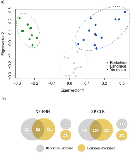 Figure 2. 2  (a) Results of principal component analysis (PCA) of  Berkshire, Landrace, and Yorkshire breeds