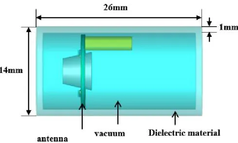 Figure 4.1. The antenna inside a capsule module.