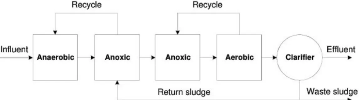 Fig.  5.  Flow  diagram  of  modified  UCT  process.