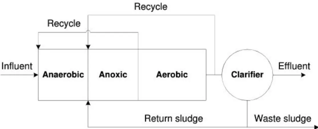 Fig.  6.  Flow  diagram  of  VIP  process.