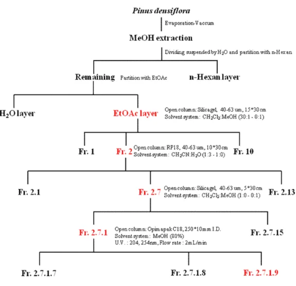 Fig. 2. Schematic diagram of fractionation from Pinus densiflora needle.