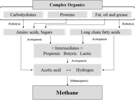 Fig.  1.  Pathway  of  anaerobic  methane  fermentation.
