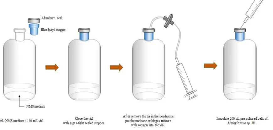 Fig.  4.  Method  for  culture  of  Methylosinus  sp.  JH  using  the  biogas  or  pure  methane.