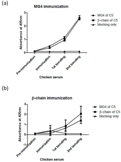 Figure 5. Titration of serum antibodies after immunization and boosting The immune titers of anti-mouse C5 β-chain and MG4 antibodies in chicken serum  were measured by ELISA