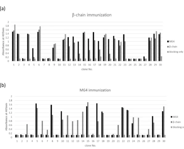 Figure 7. Reactivity of antibodies to recombinant mouse complement C5 β- β-chain and MG4 domain