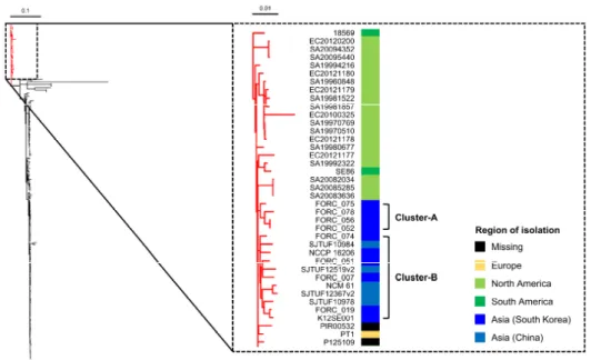 Figure  II-1.  Phylogenetic  tree  of  the  S.  Enteritidis  strains.  The  phylogenetic  relationships  were  calculated  by  the  RAxML  program  (Stamatakis,  2006)  and  visualized using the iTOL program (https://itol.embl.de/) (Letunic &amp; Bork, 201