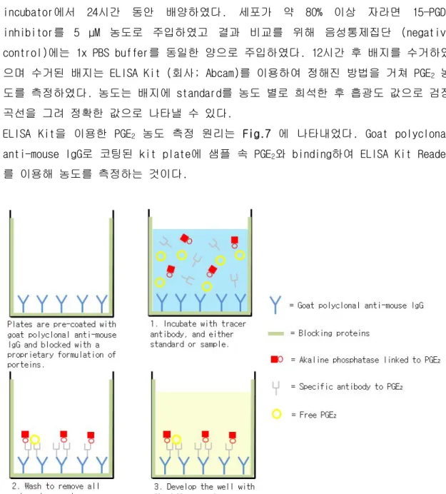 Fig. 7. Determination of PGE 2  using ELISA kit.