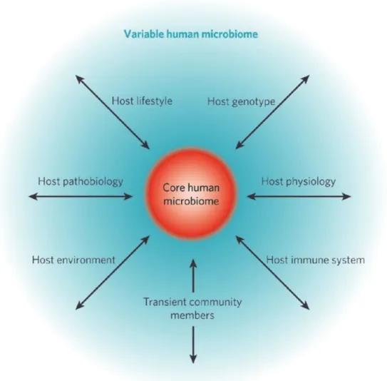 Figure 1. The concept of a core human microbiome. 