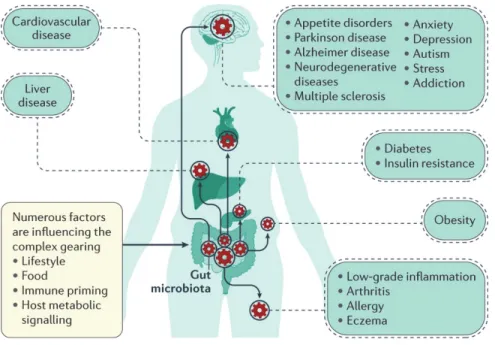 Figure 3. Gut microorganisms at the intersection of several diseases. 