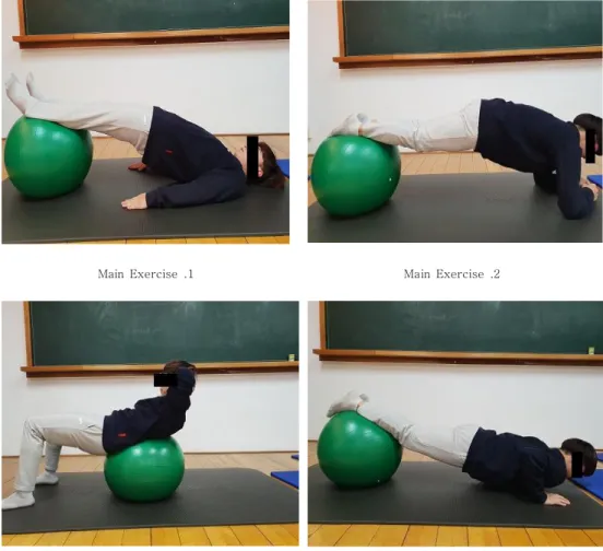 Figure  9.  Swiss  Ball  Exercise  Group