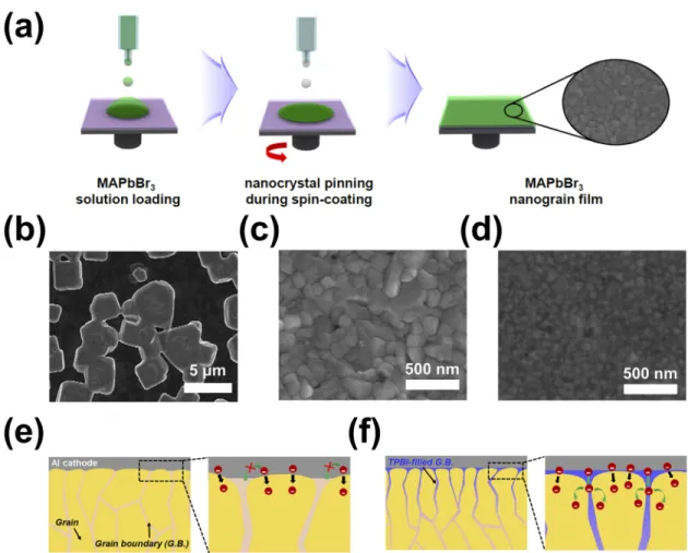 FIG. 5. Several illustrations related to the nanocrystal pinning (NCP). (a) Schematic illustration describing the NCP process