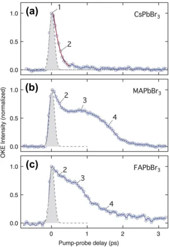 FIG. 2. Time-resolved optical Kerr effect (TR-OKE) responses from (a) CsPbBr 3 , (b) MAPbBr 3 , and (c) FAPbBr 3 