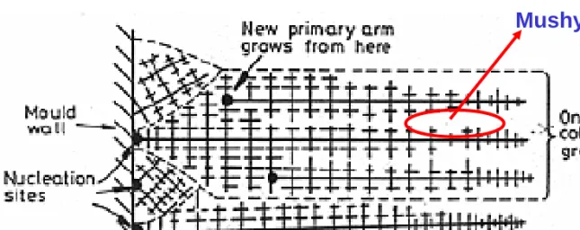 Fig. 4.42  Favorably oriented dendrites  develop into columnar grains.  Each 