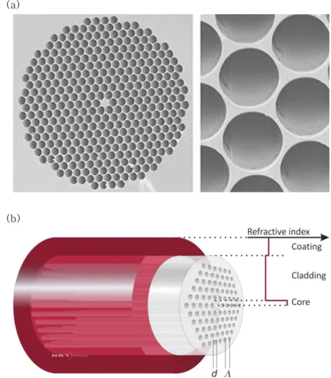 Fig. 1.1.4 (a) SEM micrographs of a PCF in Ref. [22, 23], (b) Graphics of a PCF with a index  profile in Ref