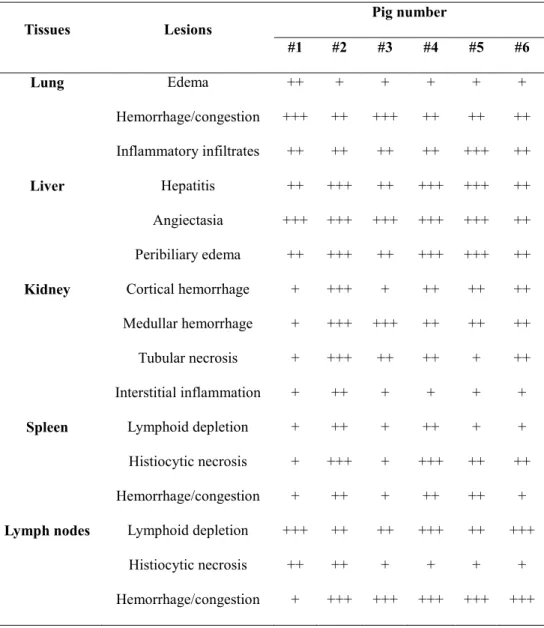 Table 2. Histopathology in pigs naturally infected with ASF 