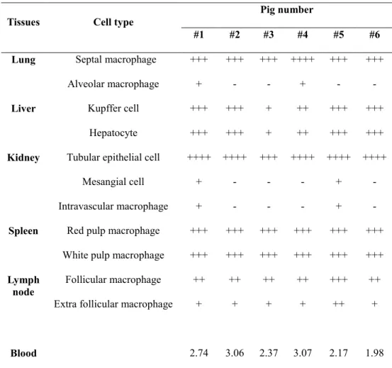Table 3. Viral antigen distribution in pigs naturally infected with ASF 