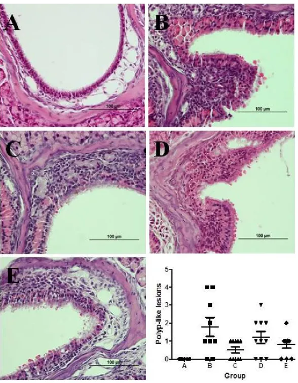 Figure 2. Comparison of the count of polyp-like lesions between groups. 