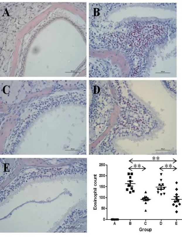 Figure 3. Comparison of the eosinophil count between groups. The same  experiments  were  performed  twice,  and  the  representative  data  are  depicted