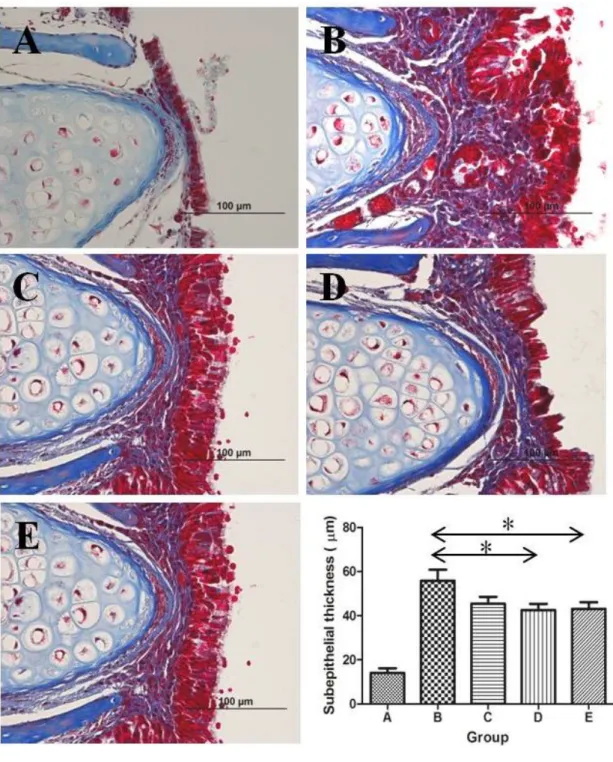 Figure  7.  Comparison  of  the  subepithelial  thickness  between  groups. 
