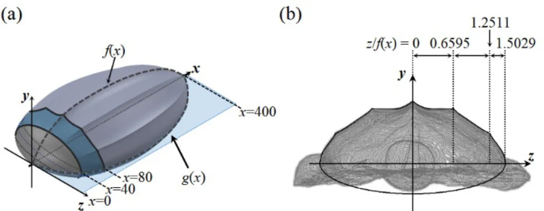 Figure 2.2. Construction of the carapace model. (a) Perspective view; (b) Cross-sectional view.