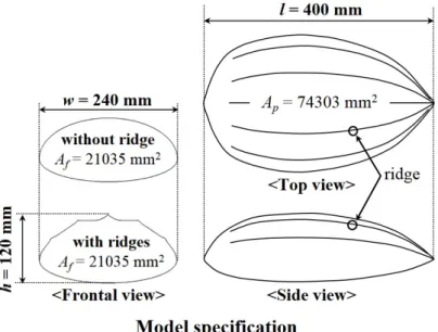 Figure 2.3. Carapace model specification. Characteristic lengths and areas of the carapace models.