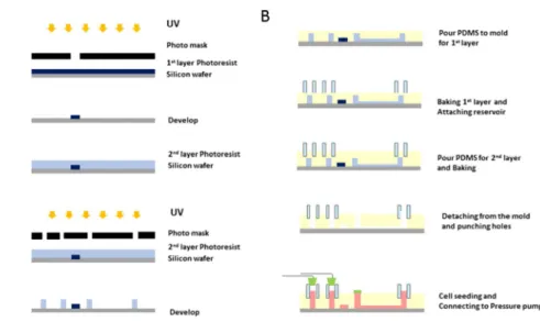 Figure  2.2.  Scheme  of  device  fabrication.  (A)  Protocol  for  Photolithography  (B)  Protocol  for  soft  lithography