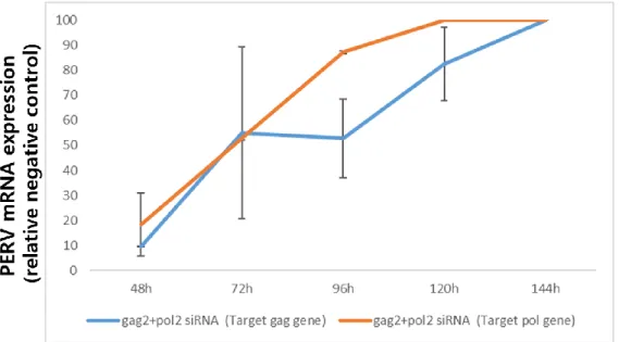 Figure 10.  Knockdown efficiency of siRNAs (gag2+pol2) expression in transfected  PK15 cells