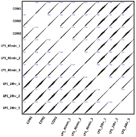 Figure  2.  Reproducibility  of  global  proteomic  quantification.  Multi-scatter  plot  of  label-free  protein  intensities  between  different  replicates  of  the  samples  was depicted with the Pearson correlation coefficient values