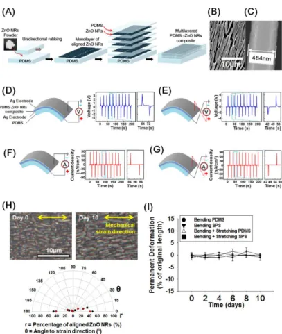 Figure 3.2.  Fabrication and characterization of SPS. (A) The fabrication process of SPS