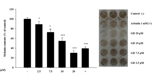 Figure 4. Effect of GD on melanin content and macroscopic views 
