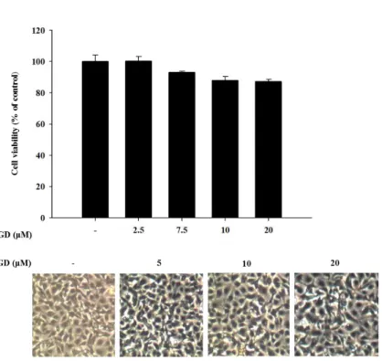 Figure 5. Effect of GD on cell viability and cellular morphology   