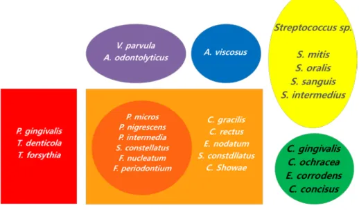 Figure  2.  Classification  of subgingival microbiota by Socransky  (Socransky et al., 1998)