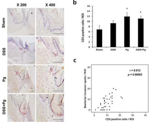 Figure 8. A strong positive correlation between bacterial invasion and T  cell infiltration