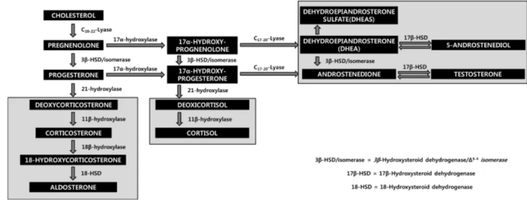 Figure 12. The pathway for the biosynthesis of steroid hormones. 