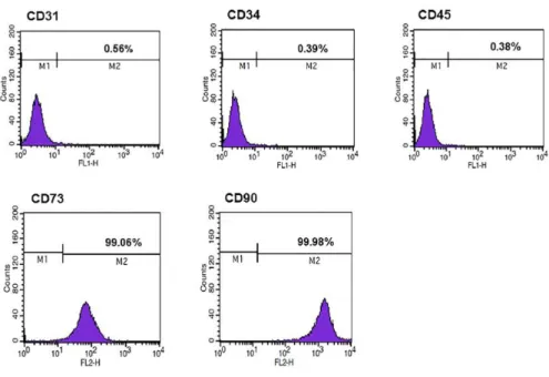 Figure 1. Immunophenotypic analysis of hAT-MSCs by flow cytometry. 
