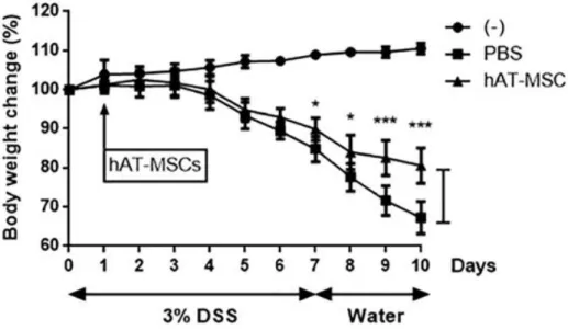 Figure  3.  Intraperitoneally  injected  hAT-MSCs  ameliorate  IBD.  DSS- DSS-induced colitis mice were infused hAT-MSCs or PBS (vehicle control) on day  1