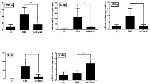 Figure 7. hAT-MSCs inhibit inflammatory response in the colon. mRNA  expression  levels  of  pro-  and  anti-inflammatory  cytokines  in  colons  were  determined by qRT-PCR