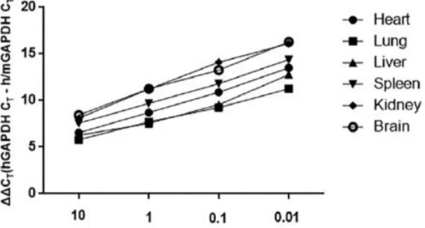 Figure  11.  Standard  curves  for  qRT-PCR  assays  of  human  mRNA  for  GAPDH. The results are representative of three independent experiments